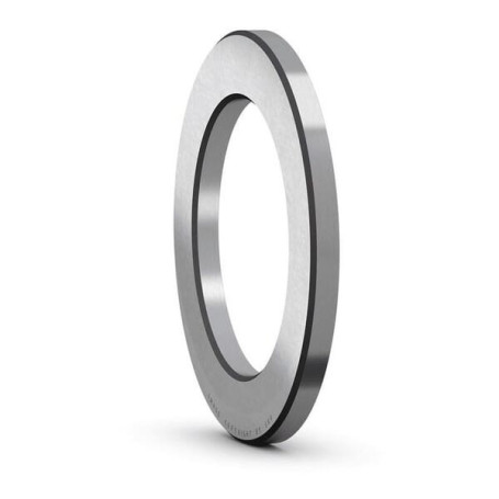 Disque de palier - Ref: WS81206