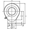 Tête de rotule - Ref: GK40HO2RS