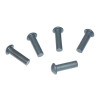 Paquet de rivets 0,5 kg 6x18 - Ref: 618B