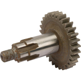 Pignon Kuhn