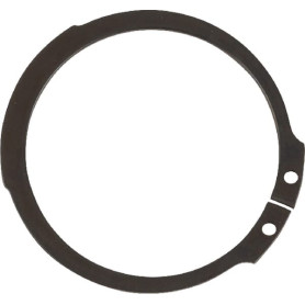 Circlips