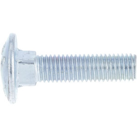 Vis tête bombée collet carré  M10x20 inox A2 - Ref: 6031020RVSP050 - Pack de 50