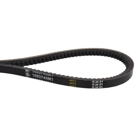 Courroie trapézoïdale - pour Massey Ferguson