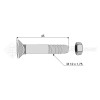 Boulon tête fraisée collet carré - Diam. : 12 - Pas : 175 - L : 45mm - Vendu par x25 - Ref: SY60812045