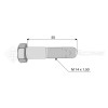 Vis - Diam. : 14 - Pas : 150 - L : 55mm - Ref: SY960140552