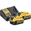 Pack 2 batteries + chargeur 5Ah 18V