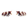 Vaches rouge/blanche