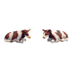 Vaches rouge/blanche