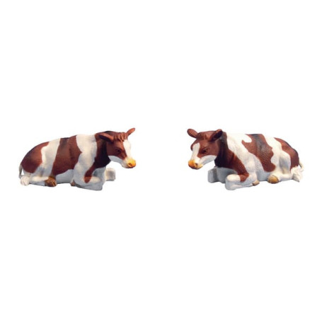 Vaches rouge/blanche