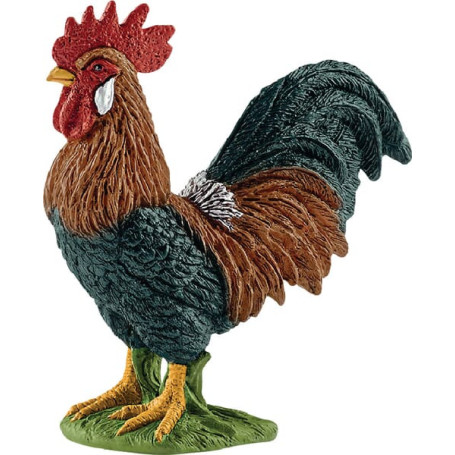 Coq