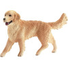 Golden Retriever femelle