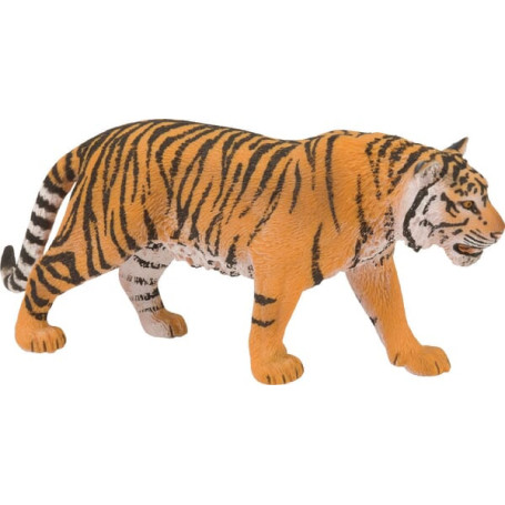Tigre du Bengale mâle