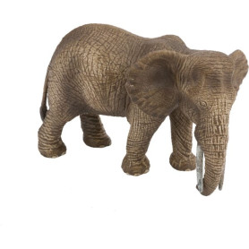 Éléphant d'Afrique femelle