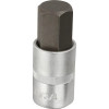 Douille de tournevis 1/2" Hex 3/4"