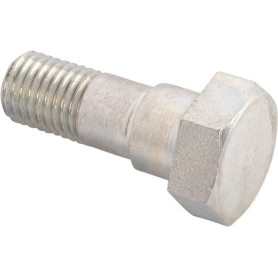 Bolt