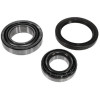 Kit Roulement - Case IH - Ref: VPJ2220