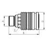 Coupleur femelle 1/2-M22x1.5-15L