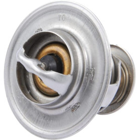 Thermostat Case - IH