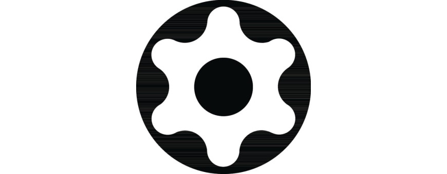 Embouts pour vis à empreinte Resistorx®
