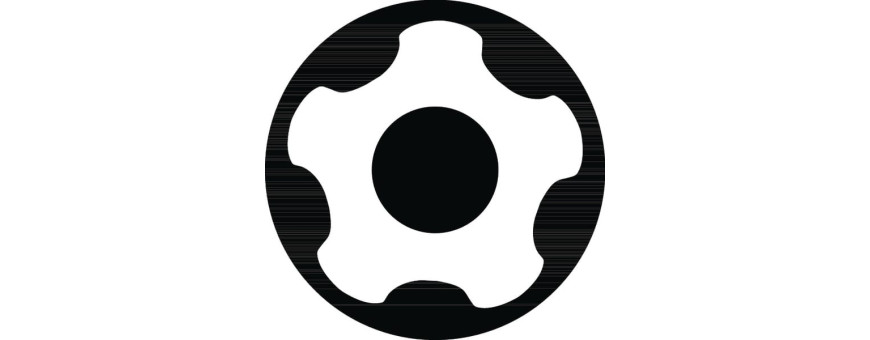 Embouts pour vis à empreinte Torx Plus® IPR