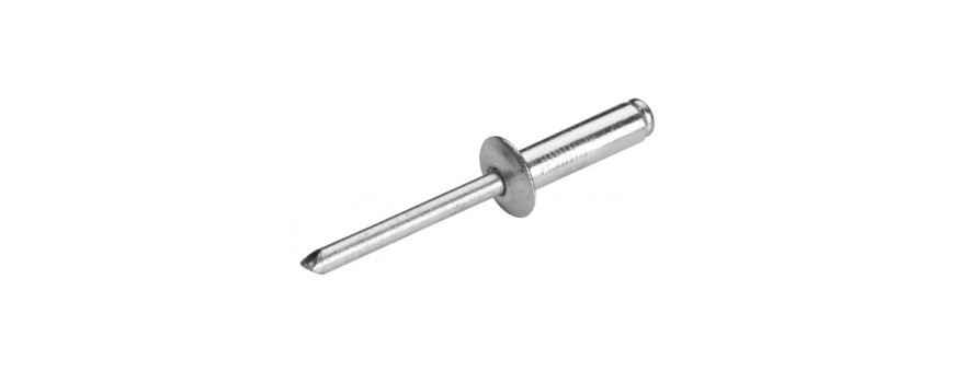 Rivet